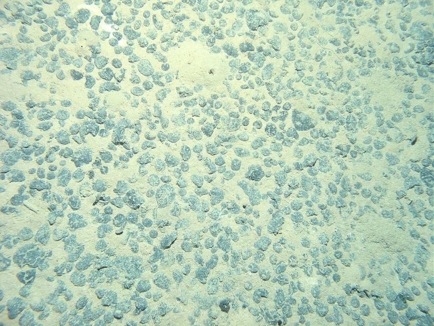 Debunking Deep Sea Mining Myths