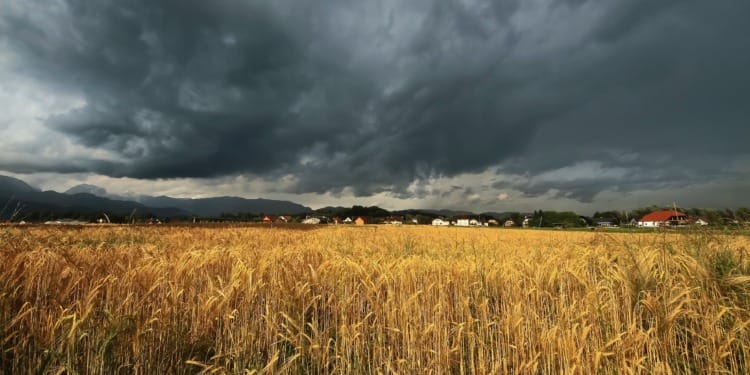 Can We Fix Our ‘Broken’ Food Systems?