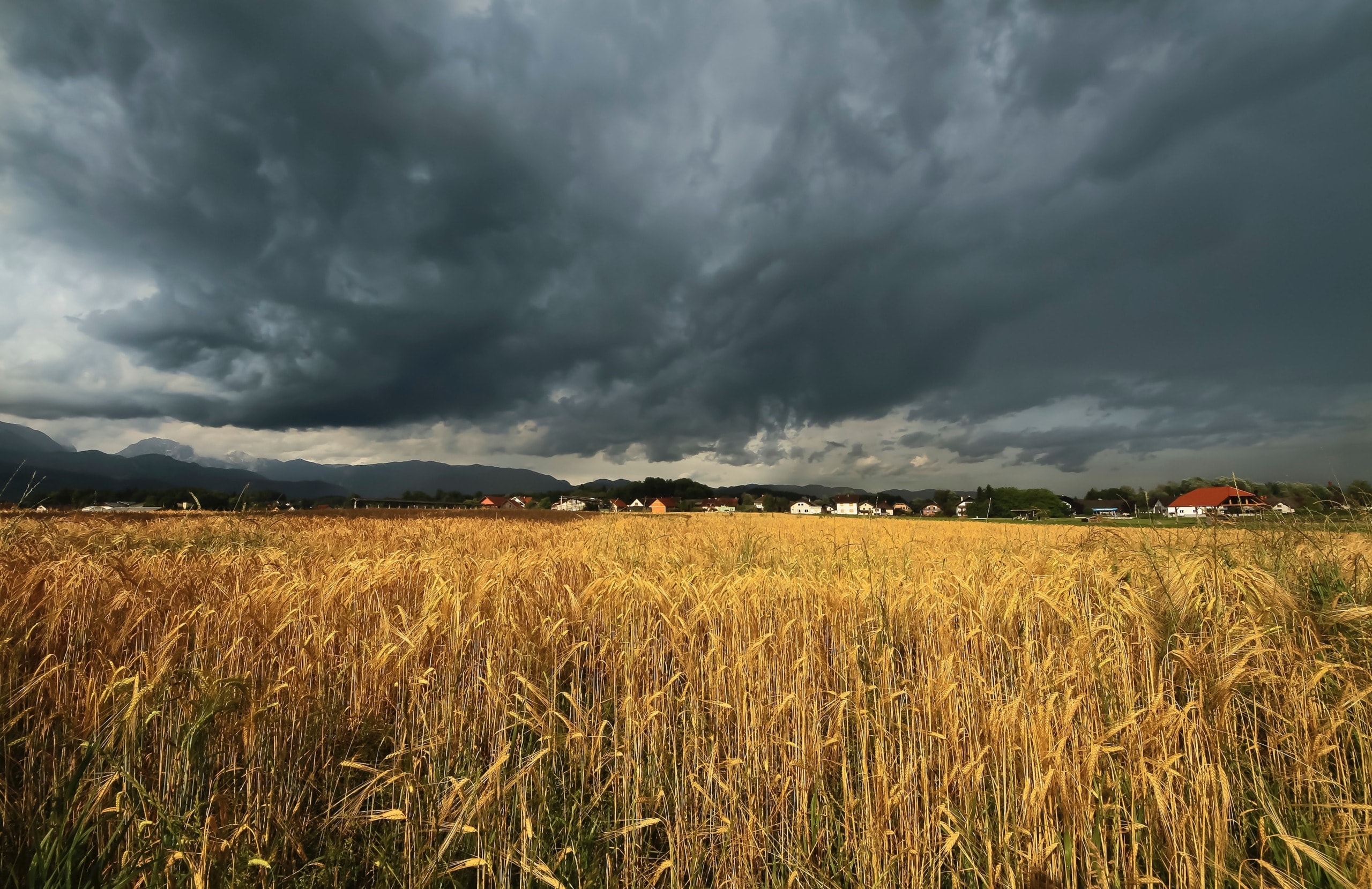 Can We Fix Our ‘Broken’ Food Systems?