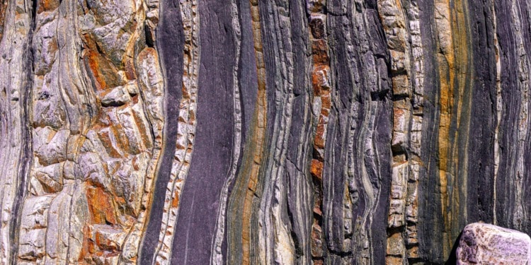 Why Do Experts Think Earth Has Entered A New ‘Human Dominated’ Epoch?