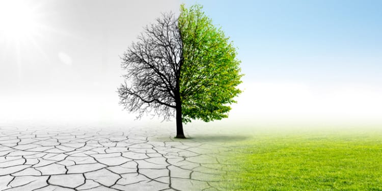 The Heat Is On: The World Bank Needs To Change