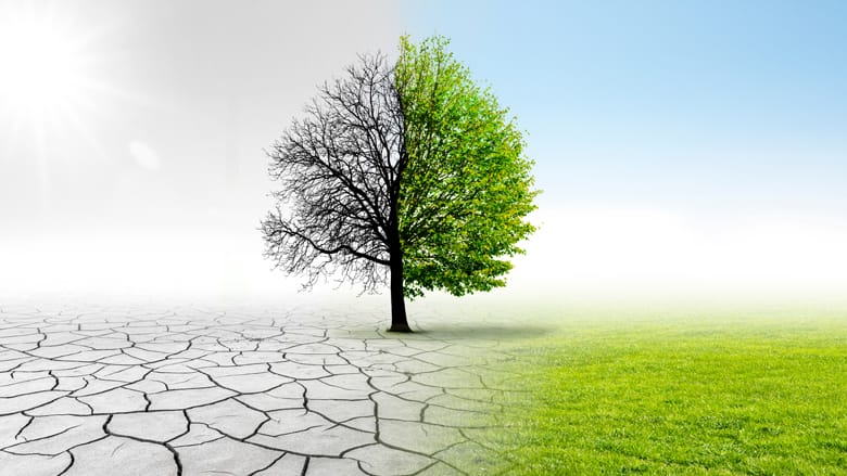 The Heat Is On: The World Bank Needs To Change