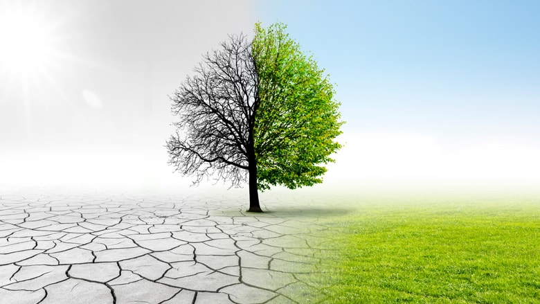 The Heat Is On: The World Bank Needs To Change