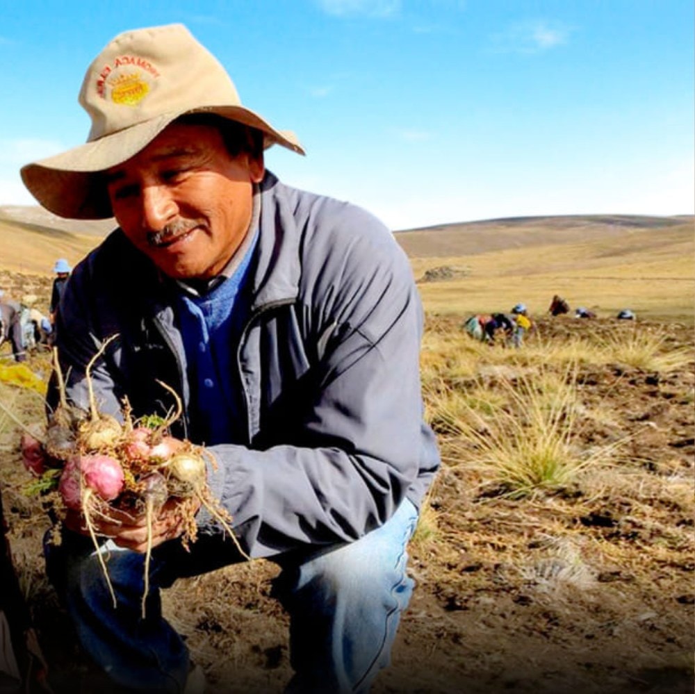 fair trade enterprises