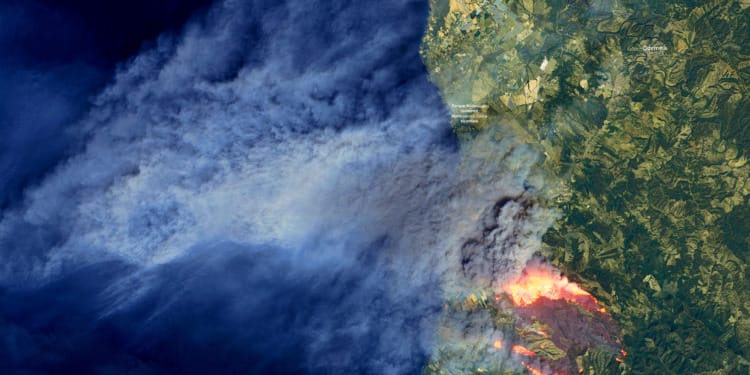 Battling Iberian Peninsula Wildfires Amidst Record Heat: Portugal’s Heroic Efforts