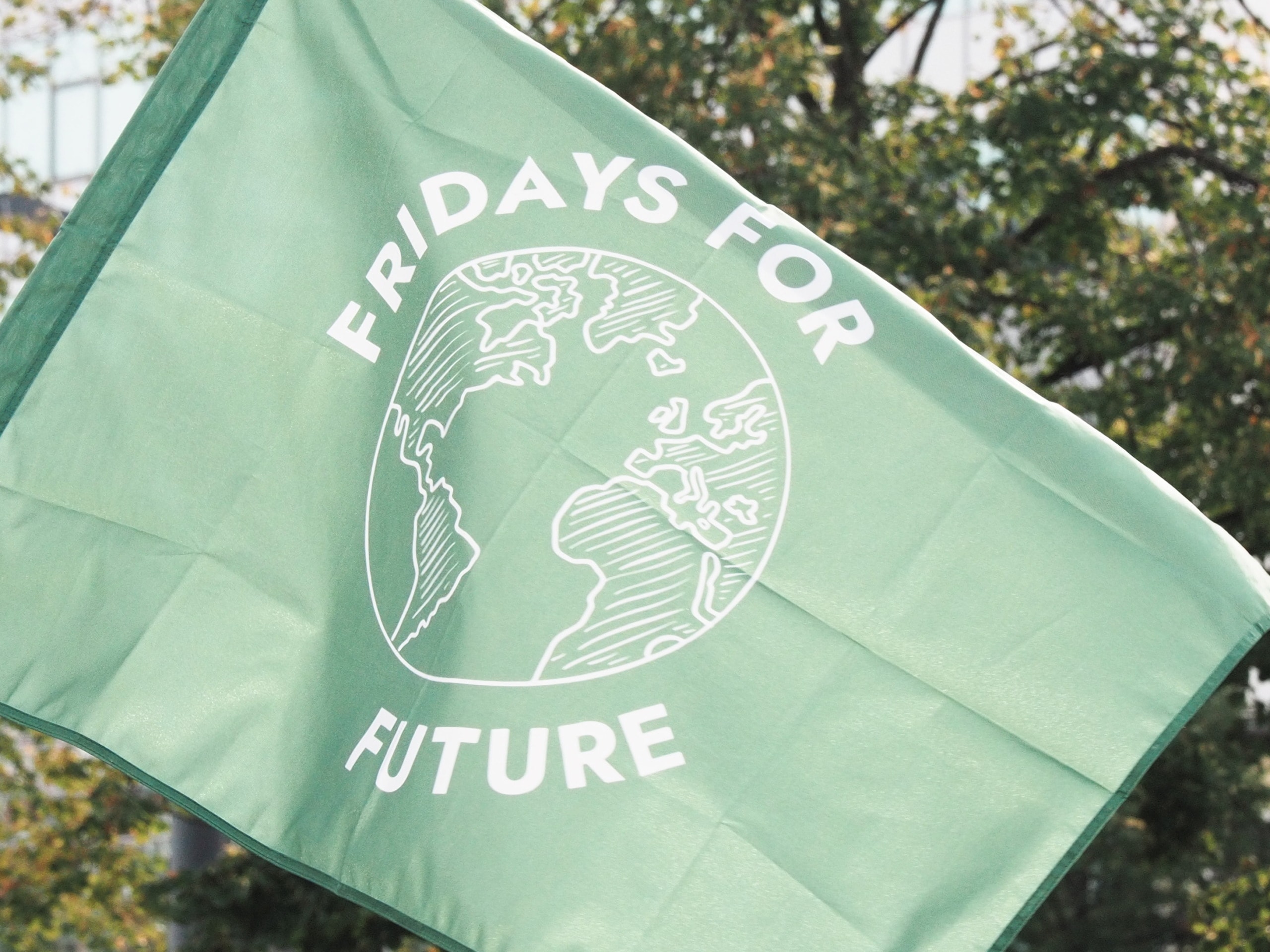Fridays for Future