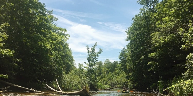 The River Flowing in My Heart