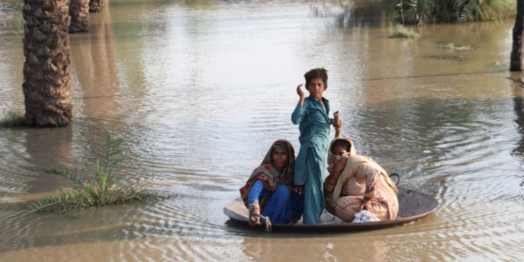 climate change cholera