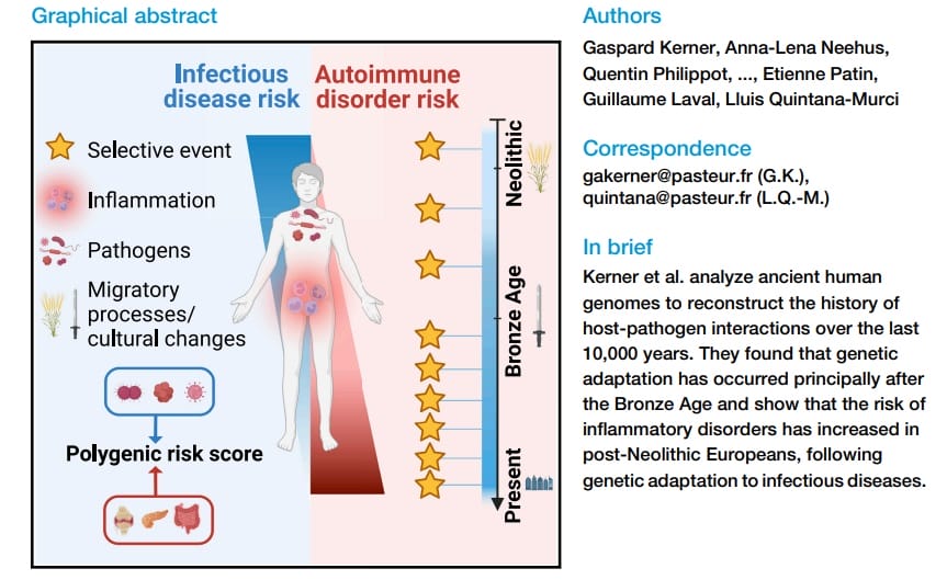[genetic adaptation infectious diseases] 