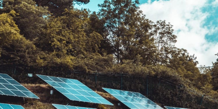 Sunlight to Power: Evolution and Key Facts About Solar Energy