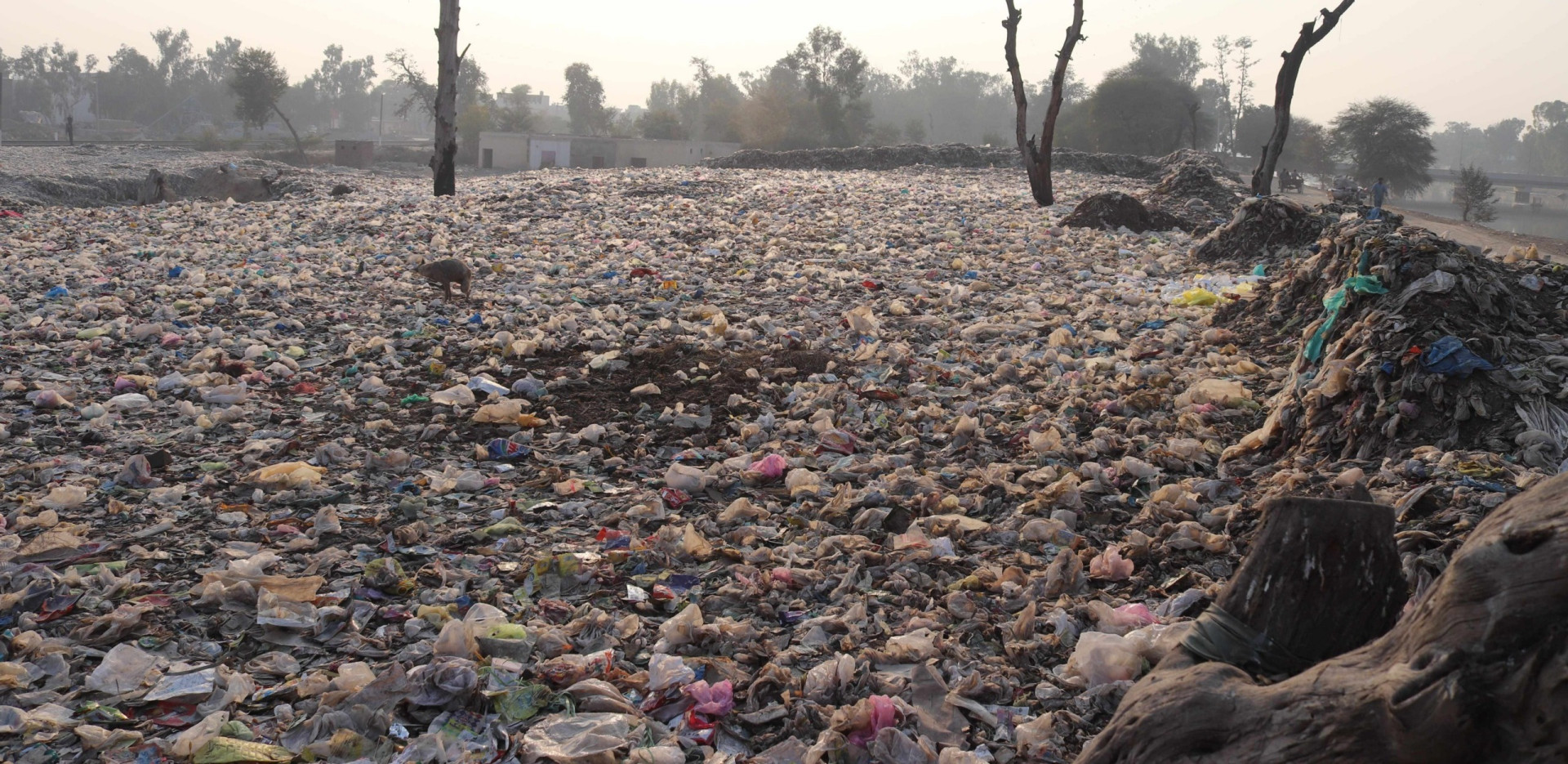 Overconsumption