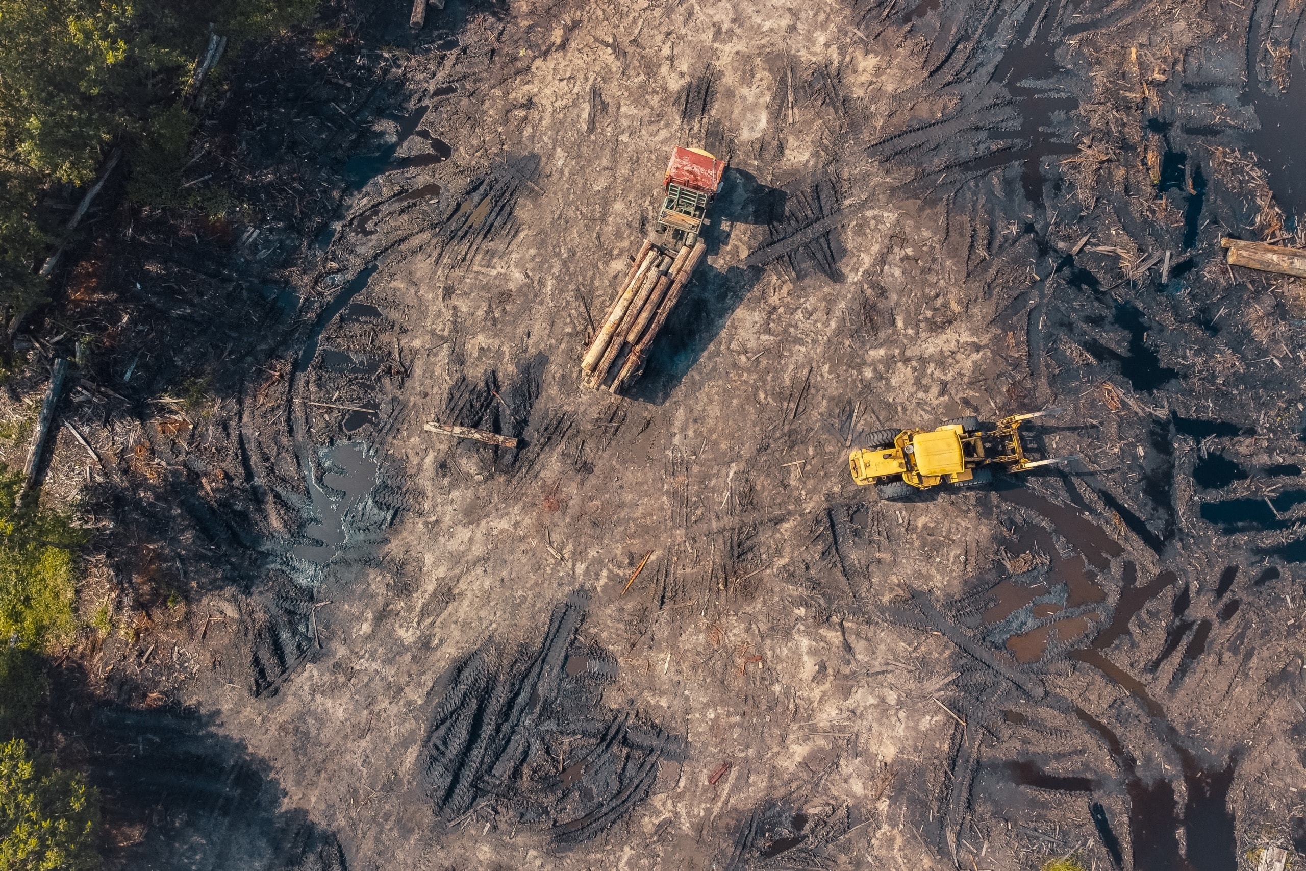 Deforestation of the Amazon rainforest in Brazil