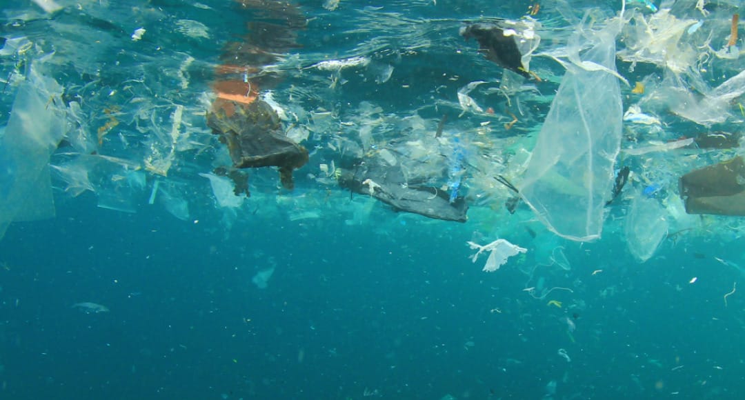 What You Need To Know About The UN's Draft Global Plastics Treaty ...