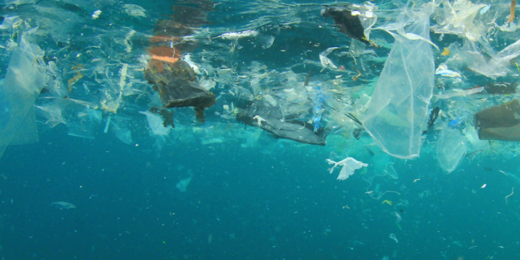 plastic pollution treaty