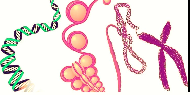 Afraid of Cancer or Getting Old? Soon There Might Be A Pill For It