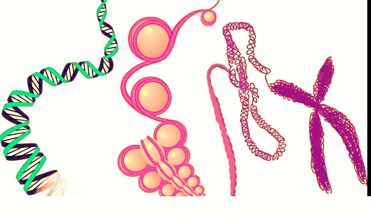 Afraid of Cancer or Getting Old? Soon There Might Be A Pill For It