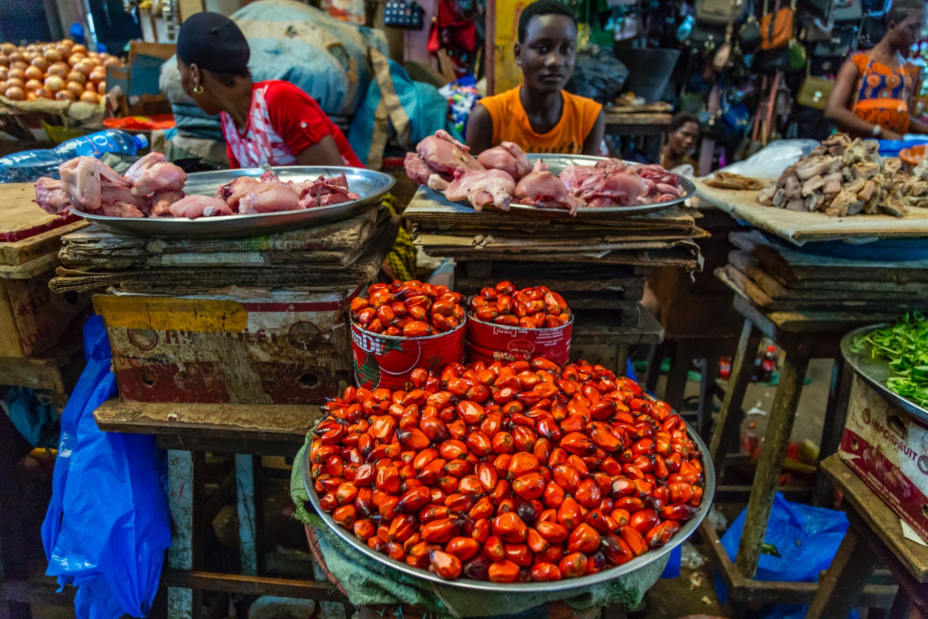 cocoa supply chain