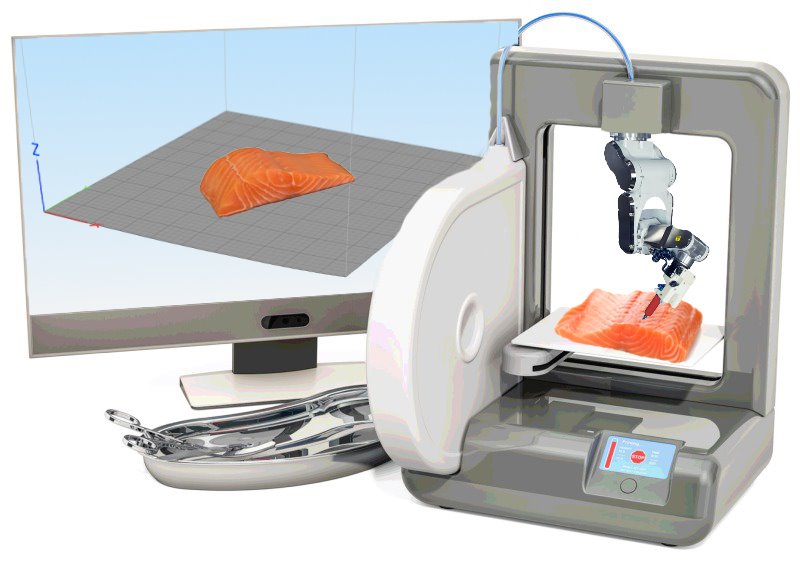 First-Ever 3D-Printed Salmon: A Taste of the Future!