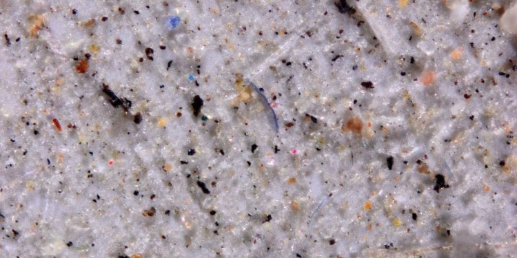 microplastics discovered in clouds