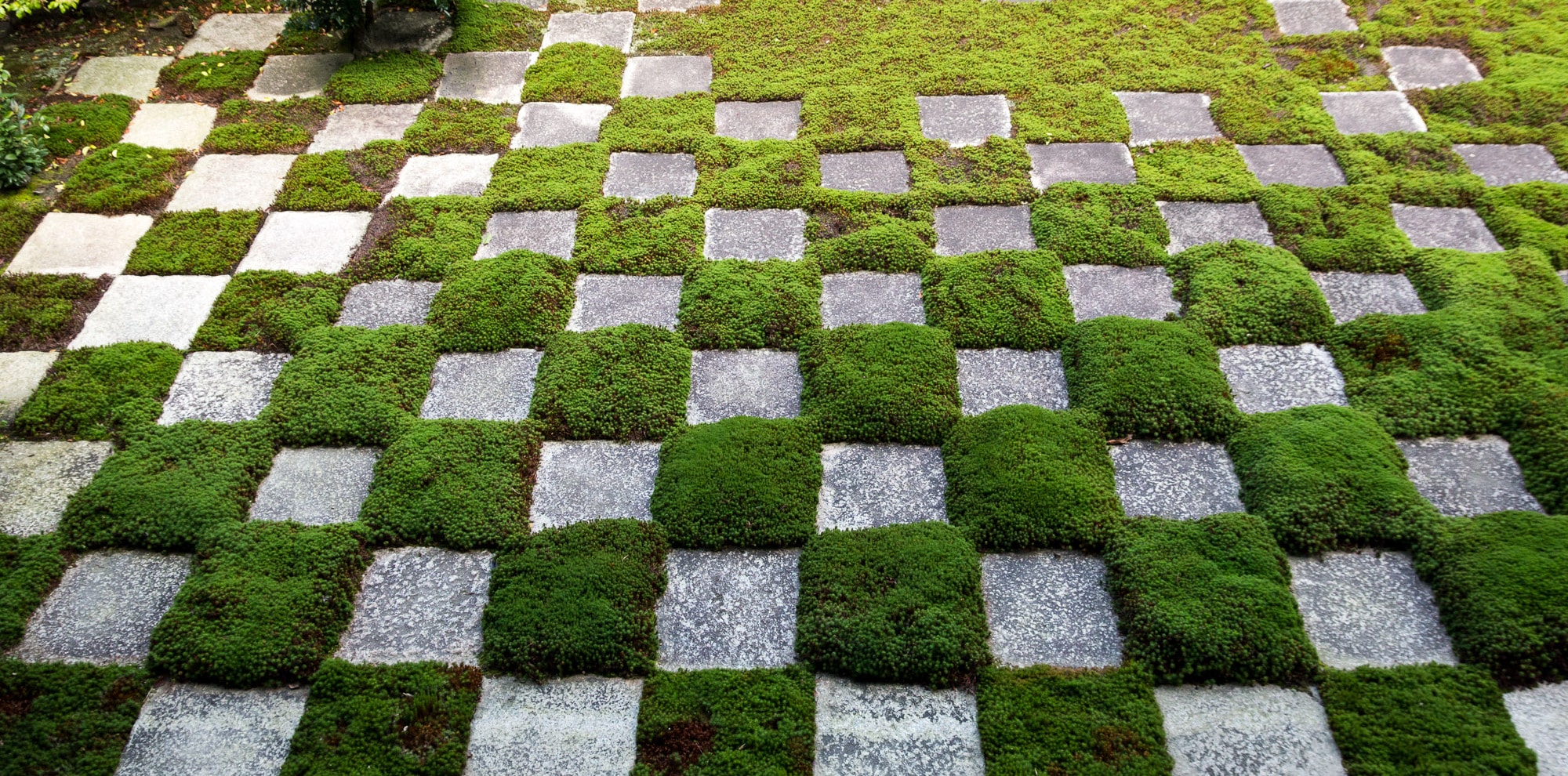 EU Companies Spending More on ESG Than They Used to, Report Finds