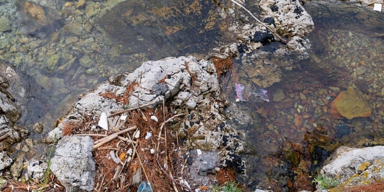 microplastic pollution