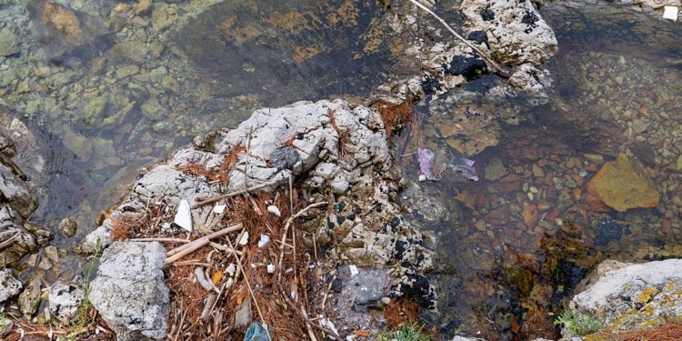 microplastic pollution