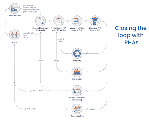 biogradable materials
