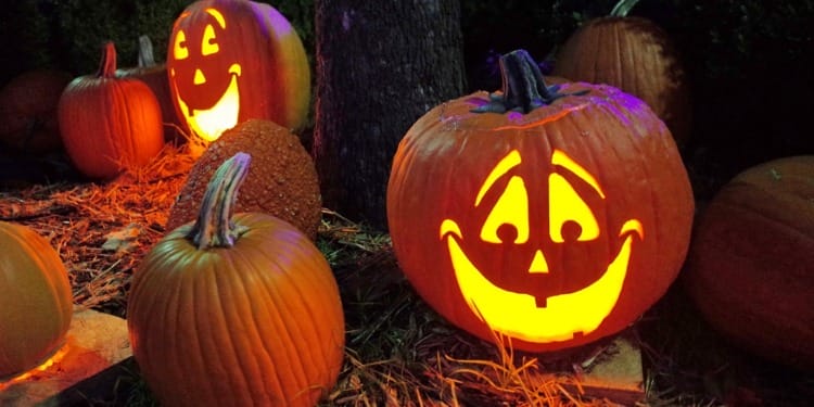 Halloween 2023: No Tricks, Just Treats and Green Tips