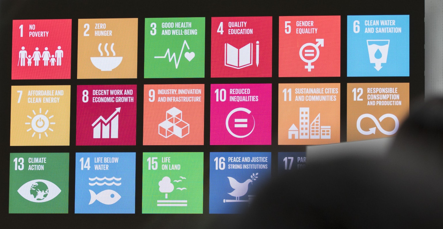 SDGs assessment tool