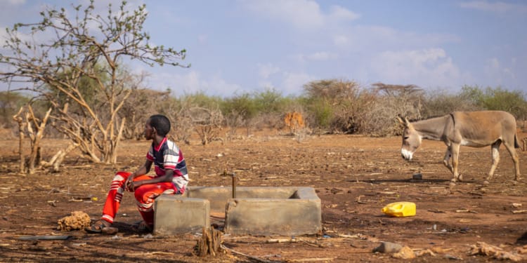 Climate Adaptation Finance