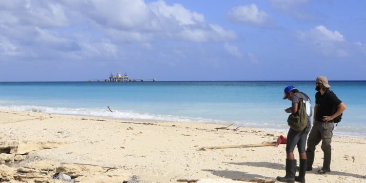 COP28 is an Historic Opportunity to Course-Correct Our Global Warming Trajectory and Fully Pursue a Just and Sustainable Energy Transition