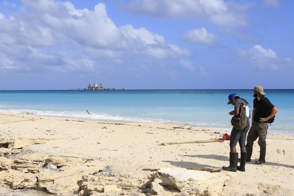 COP28 is an Historic Opportunity to Course-Correct Our Global Warming Trajectory and Fully Pursue a Just and Sustainable Energy Transition