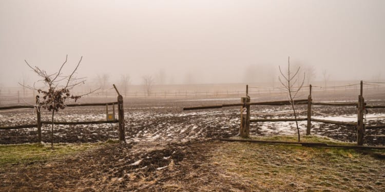 disasters agriculture