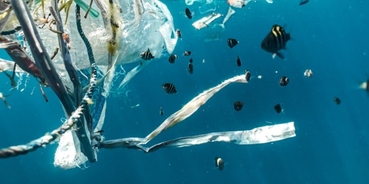 plastic pollution