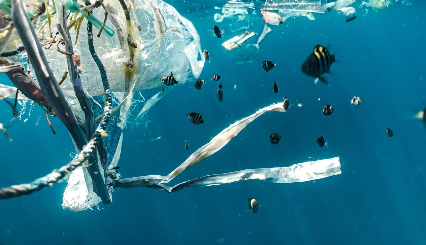 plastic pollution