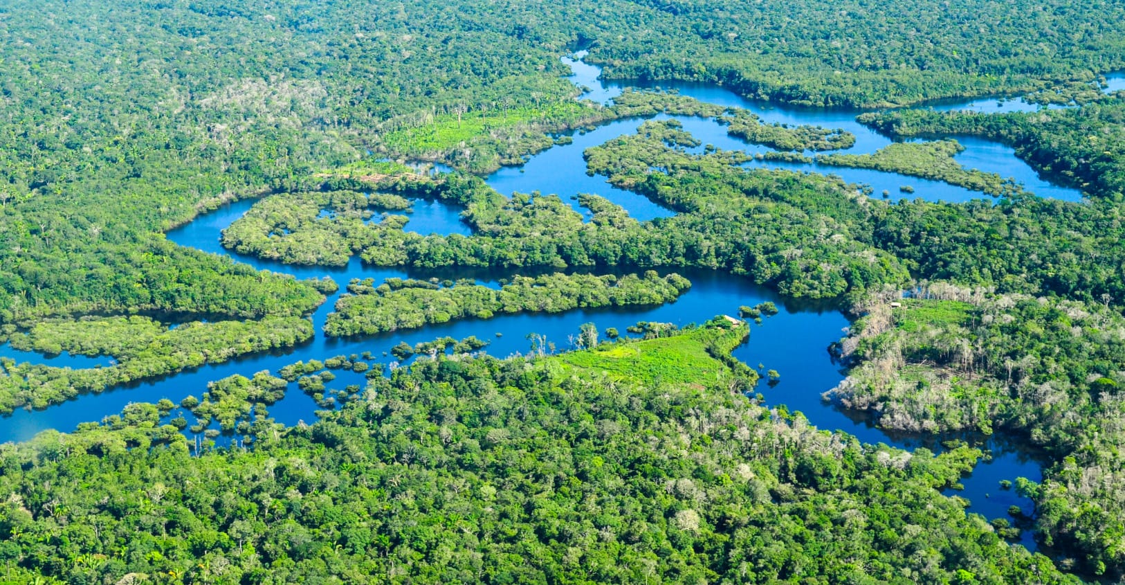 Microsoft carbon credits