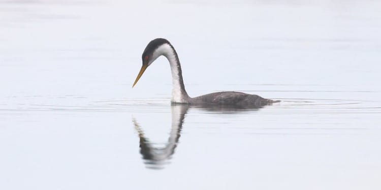 How Indigenous-Led Conservation Can Save The Planet