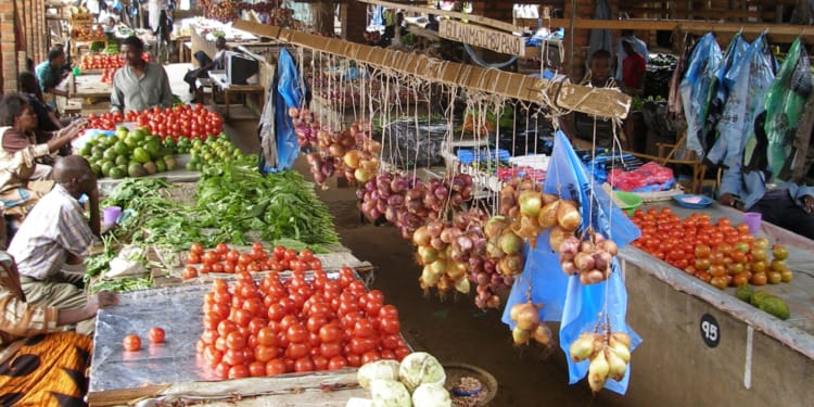 How Can Sustainability Standards Do More to Ratchet Up Smallholder Farmers’ Incomes?