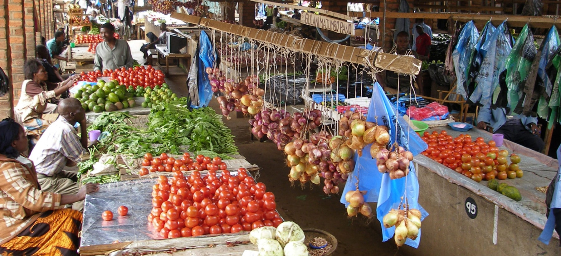 How Can Sustainability Standards Do More to Ratchet Up Smallholder Farmers’ Incomes?