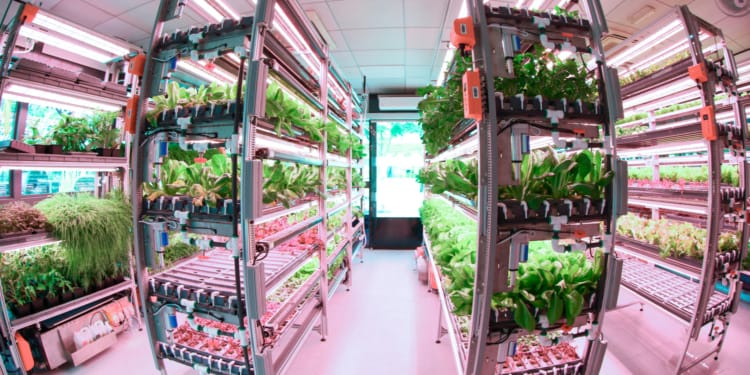 COP28 Agrifood Systems