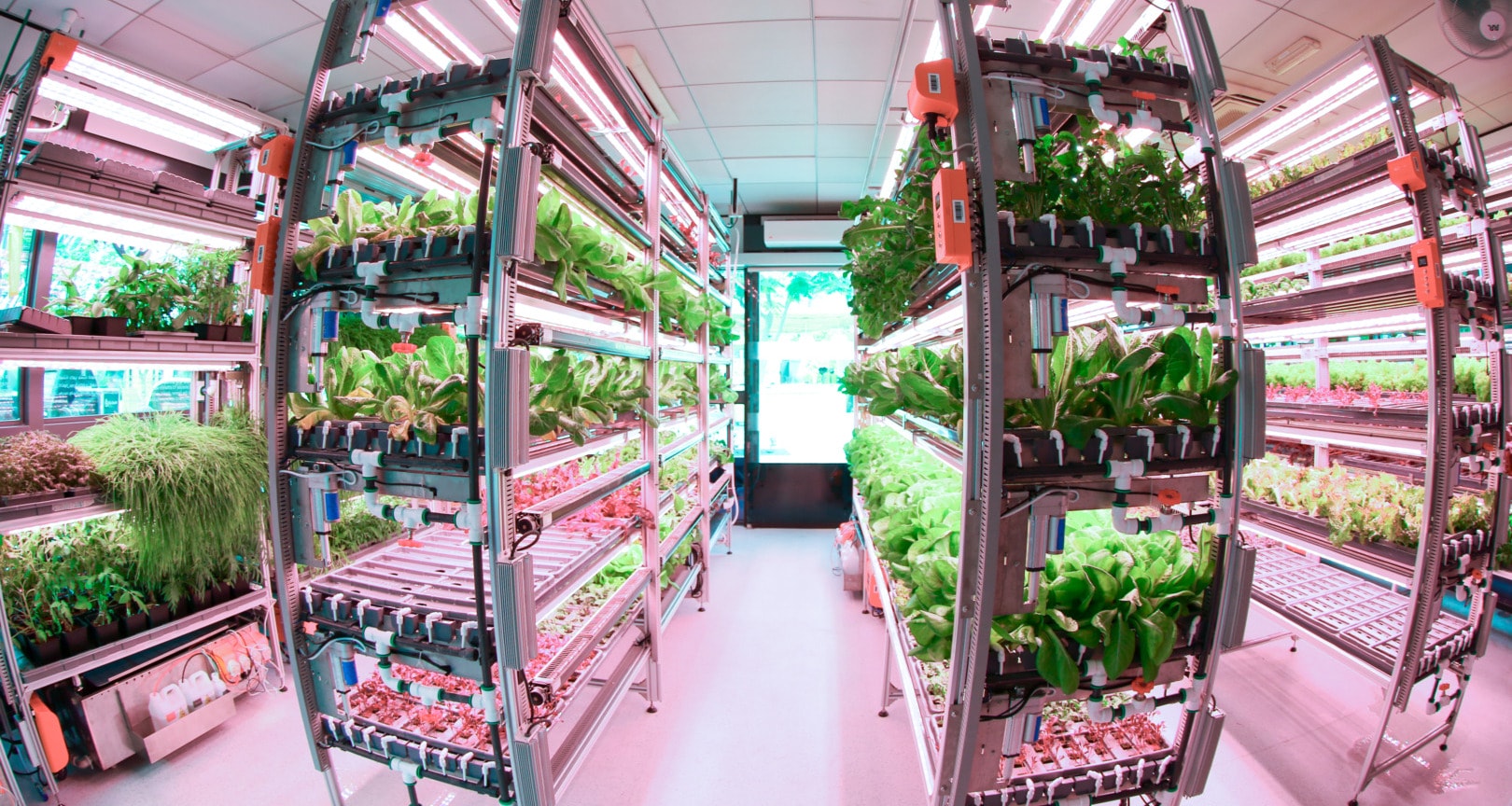 COP28 Agrifood Systems