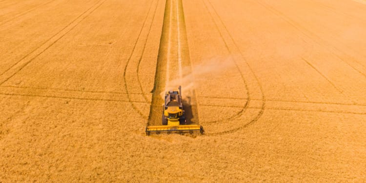 agriculture and Food Systems FAO