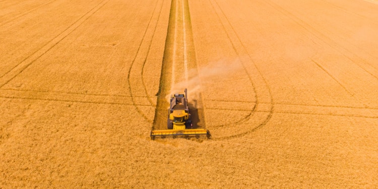 agriculture and Food Systems FAO