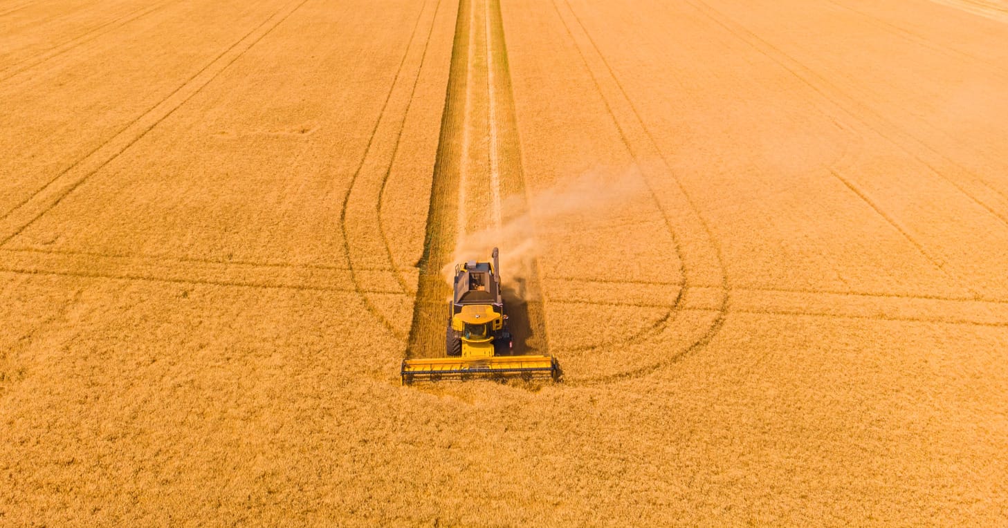 agriculture and Food Systems FAO