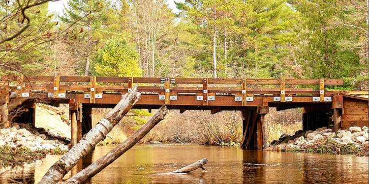 Voluntary Associations: America’s Secret Weapon to Get Things Done