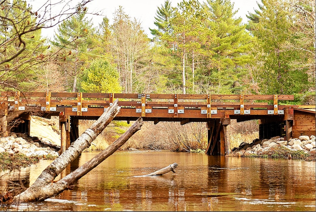 Voluntary Associations: America’s Secret Weapon to Get Things Done