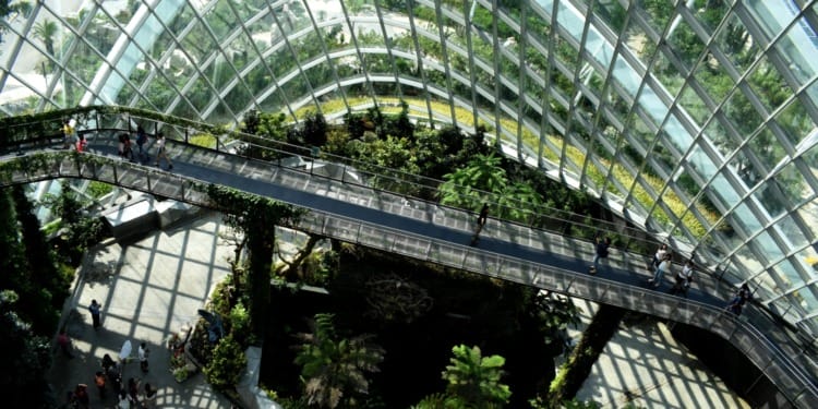 sustainable startups funding