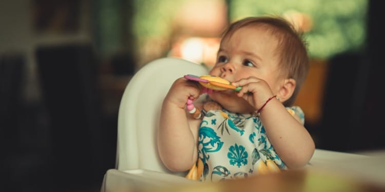 The Health Risks of Phthalates in Toys