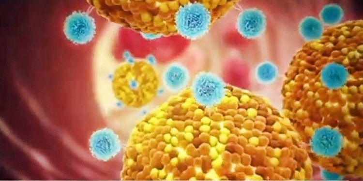 New ‘Self-Amplifying’ RNA-Based Vaccine: Progress or Possible Problems?