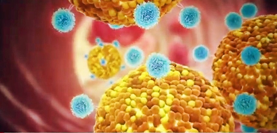 New ‘Self-Amplifying’ RNA-Based Vaccine: Progress or Possible Problems?